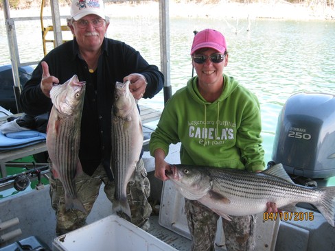 Nice Striped Bass